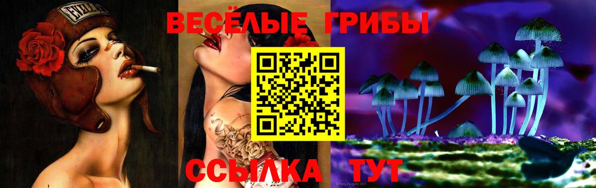 Азов  Псилоцибиновые грибы MAGIC MUSHROOMS  Вход с VPN 
